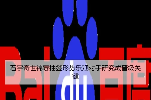 石宇奇世锦赛抽签形势乐观对手研究成晋级关键