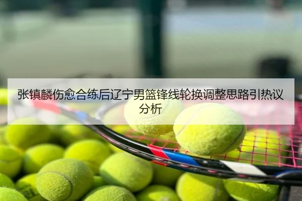 张镇麟伤愈合练后辽宁男篮锋线轮换调整思路引热议分析